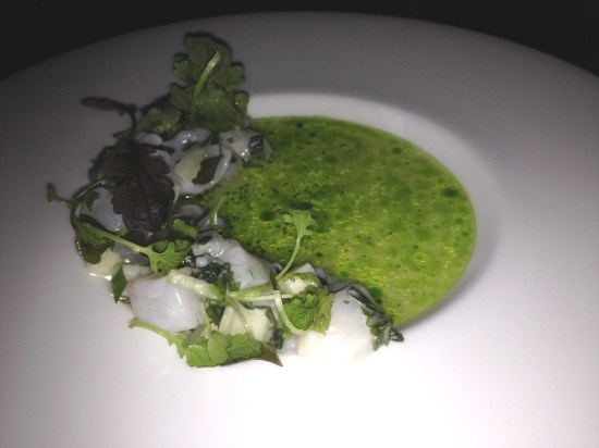 Torn New Jersey Scallop